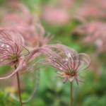 20220806111828_IMG_6407