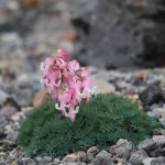 20220806120316_IMG_6413