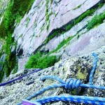 F56071F8-DA4F-416A-B38C-E16BDC10447F