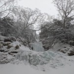 PXL_20211230_013945668